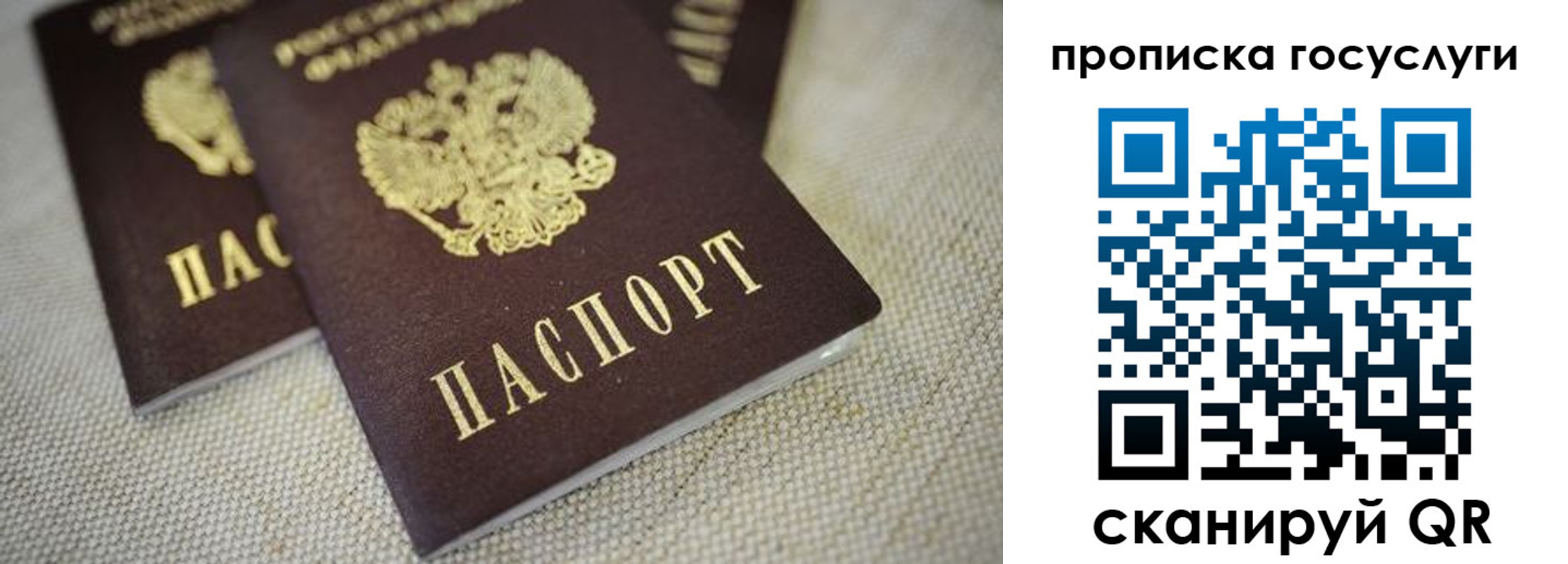 прописка поиск в Братске